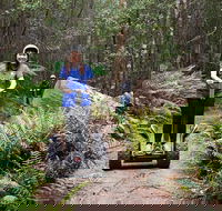 Hollybank Wilderness Adventures - Segway Tour - Accommodation Newcastle