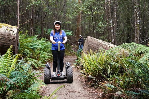 Hollybank Wilderness Adventures - Segway Tour - Accommodation Newcastle 2