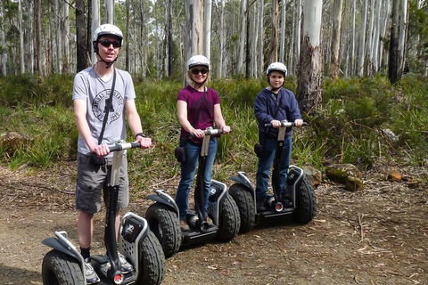 Hollybank Wilderness Adventures - Segway Tour - Accommodation Newcastle 3