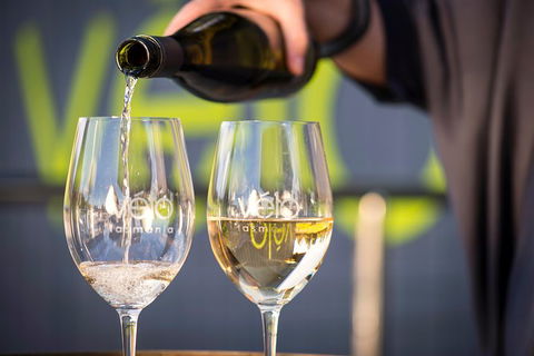 Half Day Tamar Valley Wine Tour - Accommodation Newcastle 3