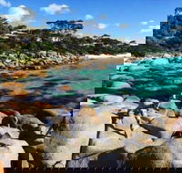 4-Day Tasmania East Coast Adventure from Launceston to Hobart Including Bay of Fires Wineglass Bay Bruny Island and Port Arthu - Accommodation Newcastle
