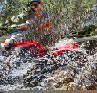 Quad Bike 2-Hour Adventure Freycinet National Park - Accommodation Newcastle