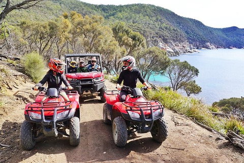 Quad Bike 2-Hour Adventure: Freycinet National Park - Accommodation Newcastle 2