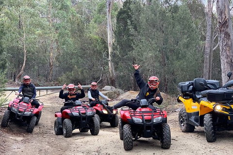 Quad Bike 2-Hour Adventure: Freycinet National Park - Accommodation Newcastle 4