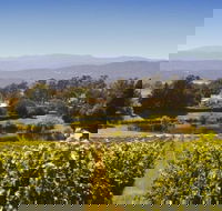 Josef Chromy Wines Winery Tour Including Tasting and Lunch - Accommodation Newcastle