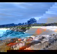 Bay of Fires Day Trip from Launceston - Accommodation Newcastle