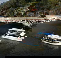Cataract Gorge Cruise 230 pm - Accommodation Newcastle