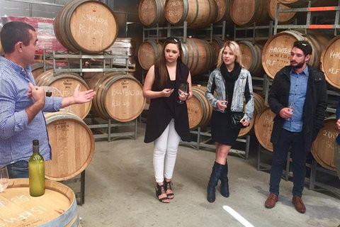 Mclaren Vale Luxury Full Day Small Group Wine Tour - Accommodation Newcastle 8