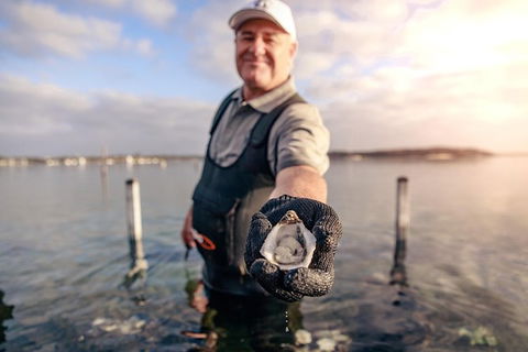 Coffin Bay Oyster Farm & Tasting Tour - Accommodation Newcastle 3