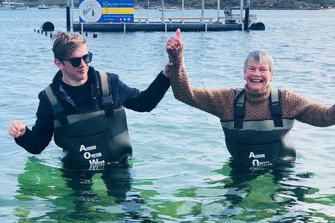 Coffin Bay Oyster Farm & Tasting Tour - Accommodation Newcastle 12