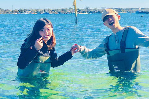 Coffin Bay Oyster Farm & Tasting Tour - Accommodation Newcastle 4
