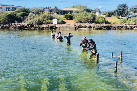 Coffin Bay Oyster Farm & Tasting Tour - Accommodation Newcastle 6