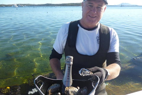 Coffin Bay Oyster Farm & Tasting Tour - Accommodation Newcastle 2