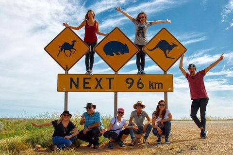10-Day Adelaide To Perth Adventure Tour - Accommodation Newcastle 1