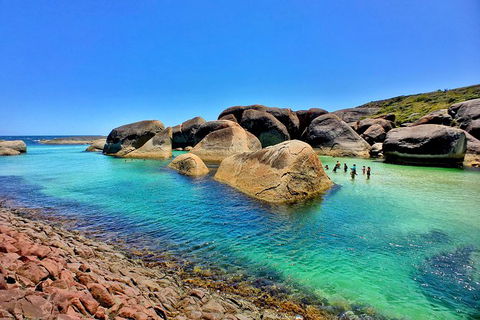 10-Day Adelaide To Perth Adventure Tour - Accommodation Newcastle 7