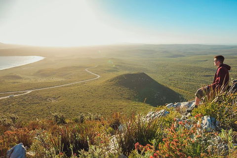 10-Day Adelaide To Perth Adventure Tour - Accommodation Newcastle 8