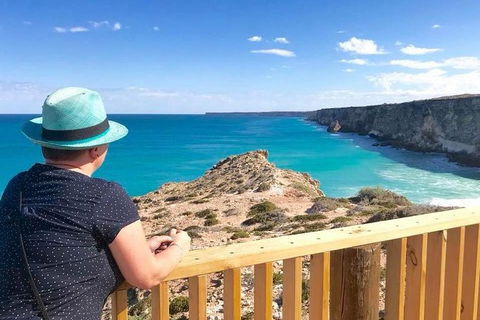 3 Day Whale Watching Tour From Adelaide - Accommodation Newcastle 0