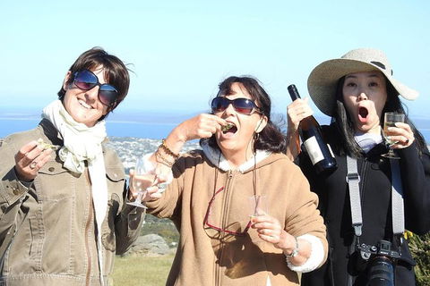 3 Day Whale Watching Tour From Adelaide - Accommodation Newcastle 15