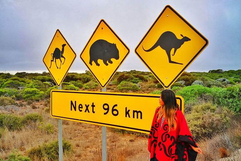 3 Day Whale Watching Tour From Adelaide - Accommodation Newcastle 10