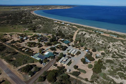 3 Day Whale Watching Tour From Adelaide - Accommodation Newcastle 13