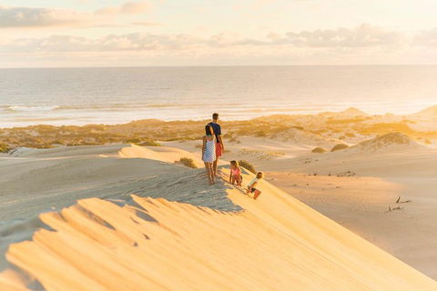 3 Day Whale Watching Tour From Adelaide - Accommodation Newcastle 6