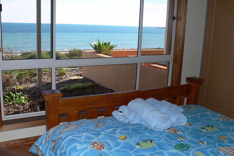 3 Day Whale Watching Tour From Adelaide - Accommodation Newcastle 12