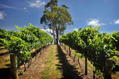 Small Group Adelaide Hills And Hahndorf Hideaway Tour From Adelaide - Accommodation Newcastle 5
