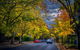 Small Group Adelaide Hills And Hahndorf Hideaway Tour From Adelaide - thumb 8