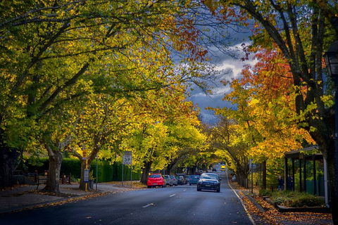 Small Group Adelaide Hills And Hahndorf Hideaway Tour From Adelaide - Accommodation Newcastle 8