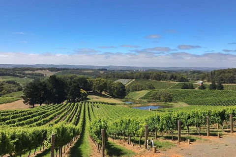 Small-Group Full-Day Adelaide Hills And Hahndorf Wine Tour From Adelaide - Accommodation Newcastle 2