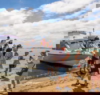 Coorong Discovery Cruise - Accommodation Newcastle