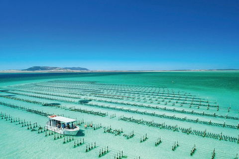 Coffin Bay Private Day Tour From Port Lincoln - A Taste Of Coffin Bay - Accommodation Newcastle 0