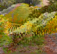 Private Adelaide Hills Wine Region Tour - Accommodation Newcastle
