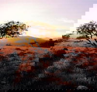 Adelaide To Coober Pedy 7 DAY SMALL GROUP 4WD SAFARI - Accommodation Newcastle