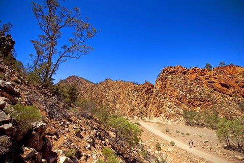 Lake Eyre And Flinders Ranges 4 Day Small Group 4WD Eco Safari - Accommodation Newcastle 1