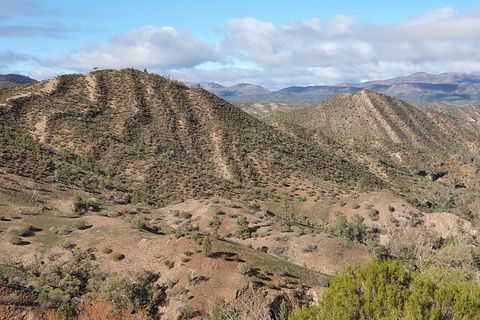 Lake Eyre And Flinders Ranges 4 Day Small Group 4WD Eco Safari - Accommodation Newcastle 5
