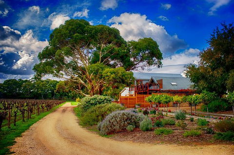 Langhorne Creek Wine Region Small Group Day Trip From Adelaide Or Glenelg - Accommodation Newcastle 0