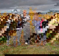 McLaren Vale Winery Small Group Tour with Wine Tasting and Lunch - Accommodation Newcastle