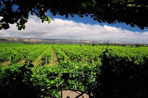 McLaren Vale Winery Small Group Tour With Wine Tasting And Lunch - Accommodation Newcastle 1