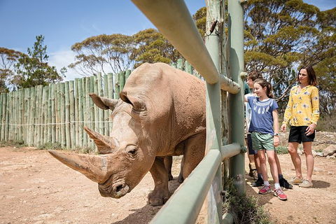 Rhino Interactive And A Day At Monarto Safari Park - Accommodation Newcastle 0