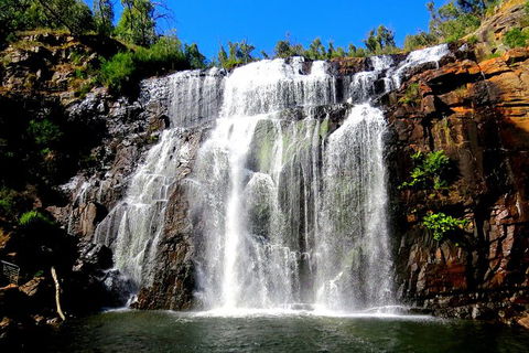 3-Day Grampians And Great Ocean Road Trip From Adelaide To Melbourne - Accommodation Newcastle 2