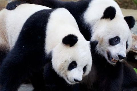 Adelaide City Tour With Optional River Cruise And Adelaide Zoo Admission - Accommodation Newcastle 1