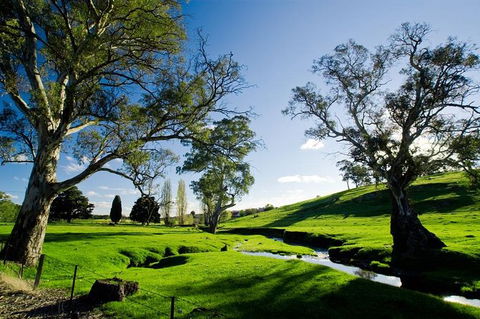 Adelaide Highlights And Hahndorf Tour With Optional River Cruise - Accommodation Newcastle 0