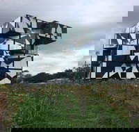 Enjoy an Afternoon In McLaren Vale - Accommodation Newcastle