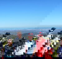 Mount Lofty Descent Bike Tour from Adelaide - Accommodation Newcastle