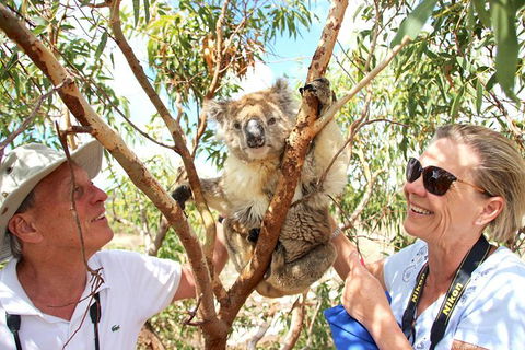 Exceptional Port Lincoln, Seafood And Wildlife Tour - Accommodation Newcastle 6