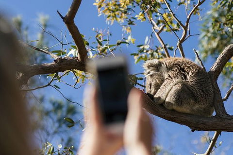 Exceptional Port Lincoln, Seafood And Wildlife Tour - Accommodation Newcastle 2