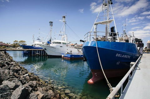 Exceptional Port Lincoln, Seafood And Wildlife Tour - Accommodation Newcastle 8