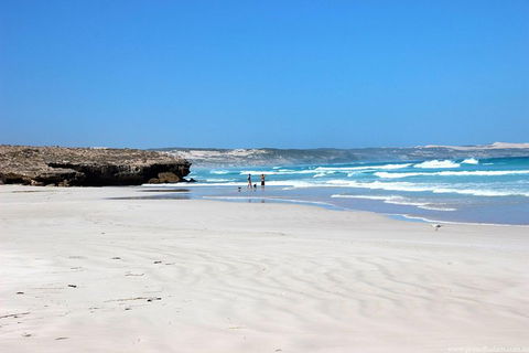 Exceptional Port Lincoln, Seafood And Wildlife Tour - Accommodation Newcastle 4