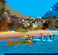 Half-Day Kayaking Tour in Coorong National Park - Accommodation Newcastle